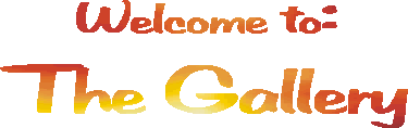 Welcome to The Gallery