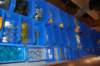 dsc_0022_small.jpg