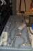dsc_0090_small.jpg