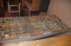dsc_0096_small.jpg