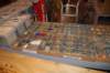 dsc_0097_small.jpg