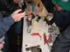 DSC00049-640.jpg
78.60 KB
640 x 480